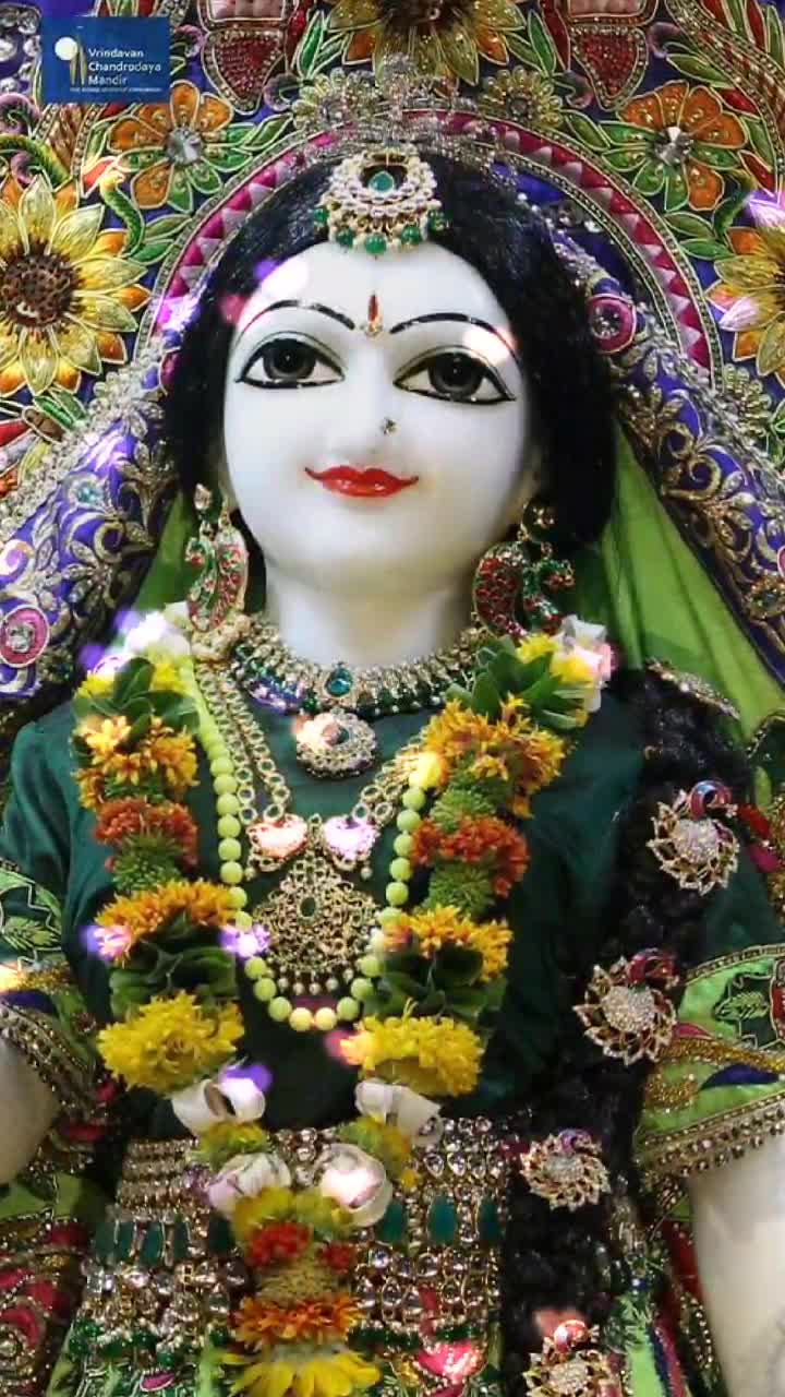@Sonia Chauhan