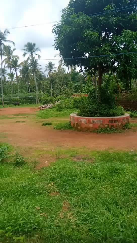 @Anjali Anju