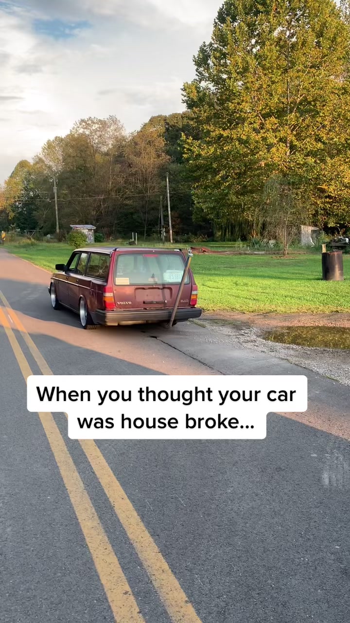 @240_dave