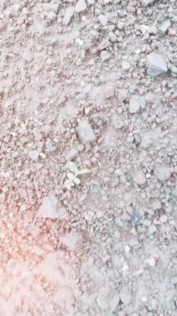 @राजेसाहेबदादा कापसेप