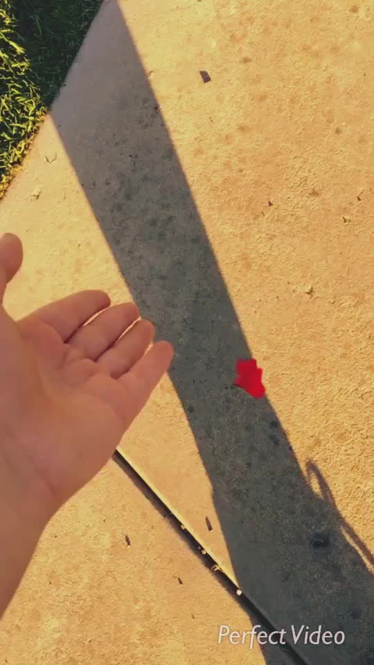 @☘️💫