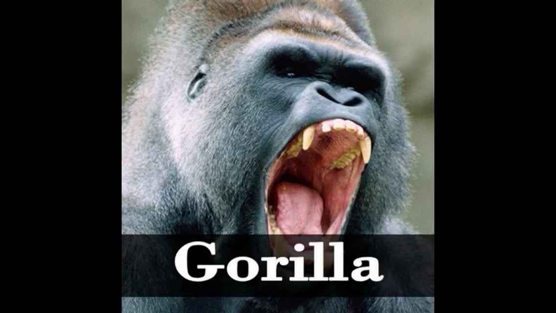 @DHUNGRY5