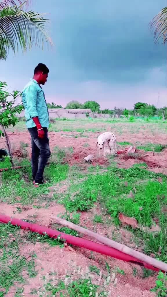@Jakkula Sai