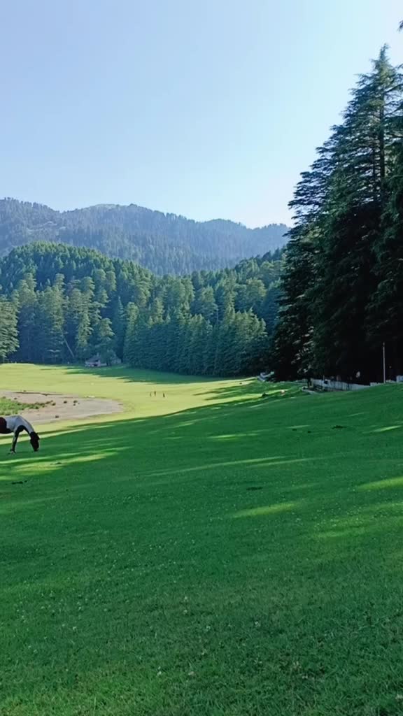 @Pammu Sharma