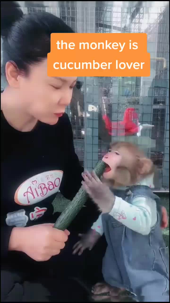 @petlove