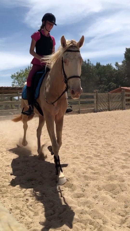 @🐴💎🥰