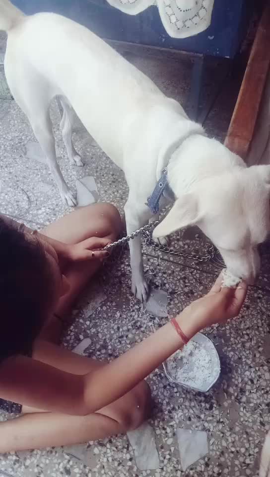 @Priti Makhija