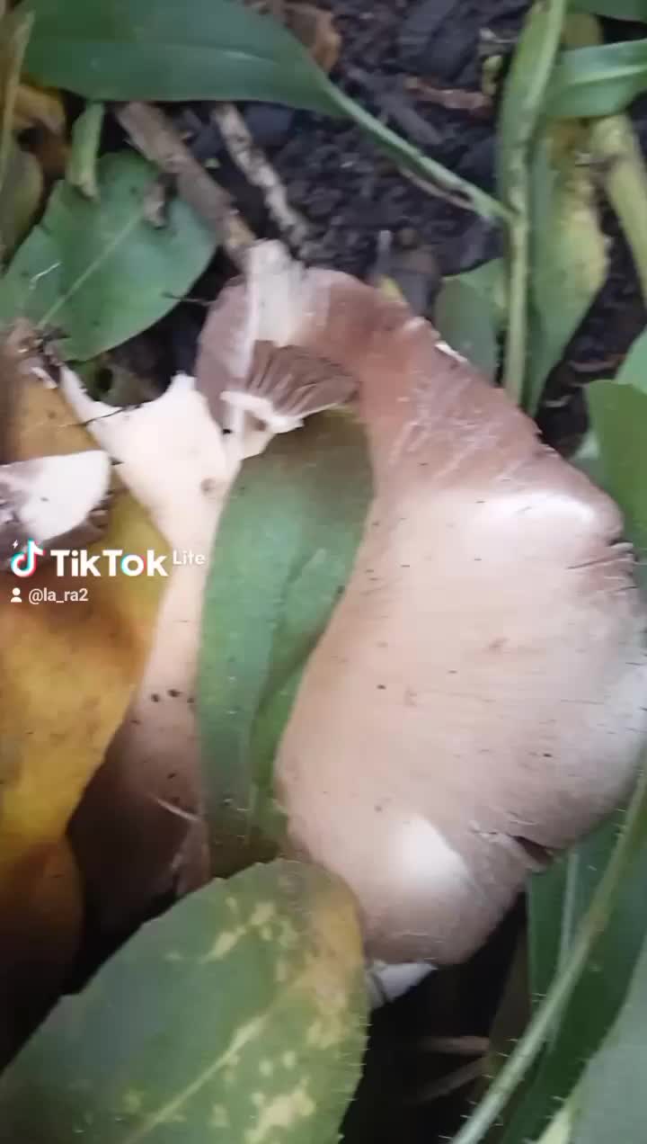 @Maxim080413