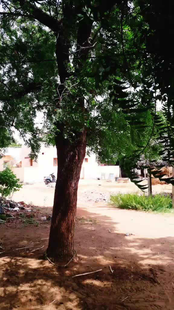 @Anbu Saran
