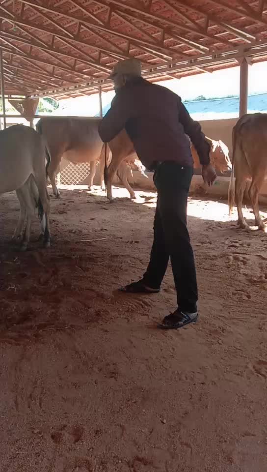 @Ramasamy