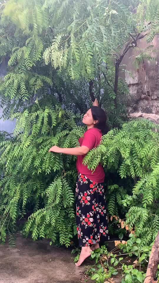 @Meghana Bachewal