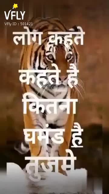 @choudhary jaat saab