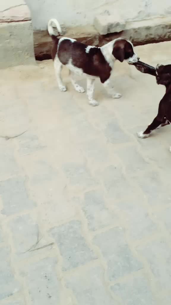@wowkhan