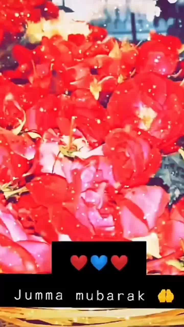 @ѕhα_khαdrí ❤❤