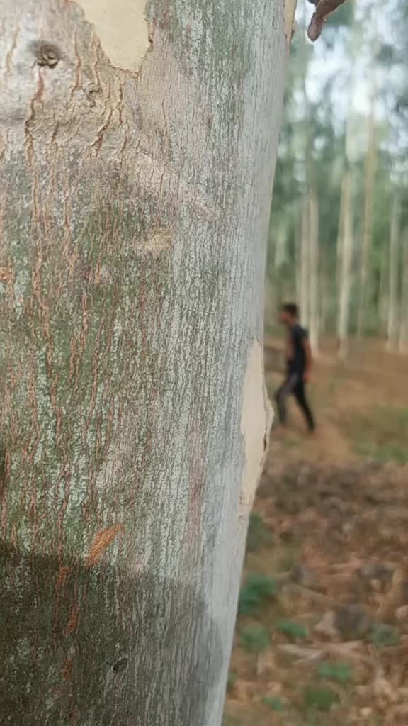 @djhiteshrock3
