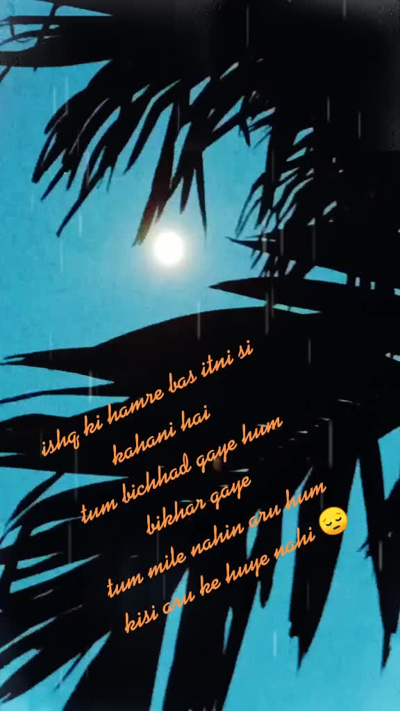 @user204126jeeya