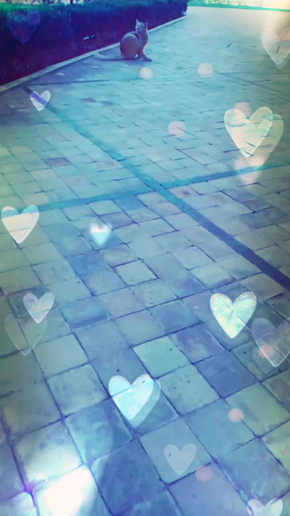 @widad_rahimi