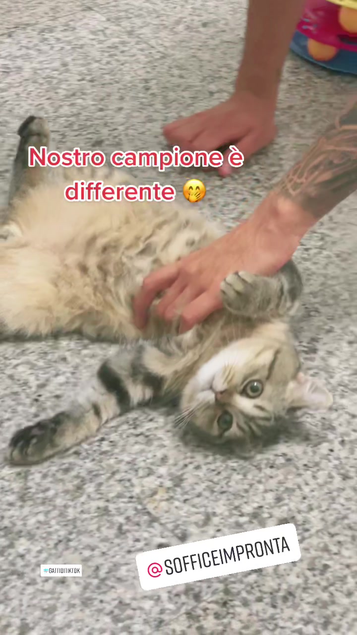 @Sofficeimpronta