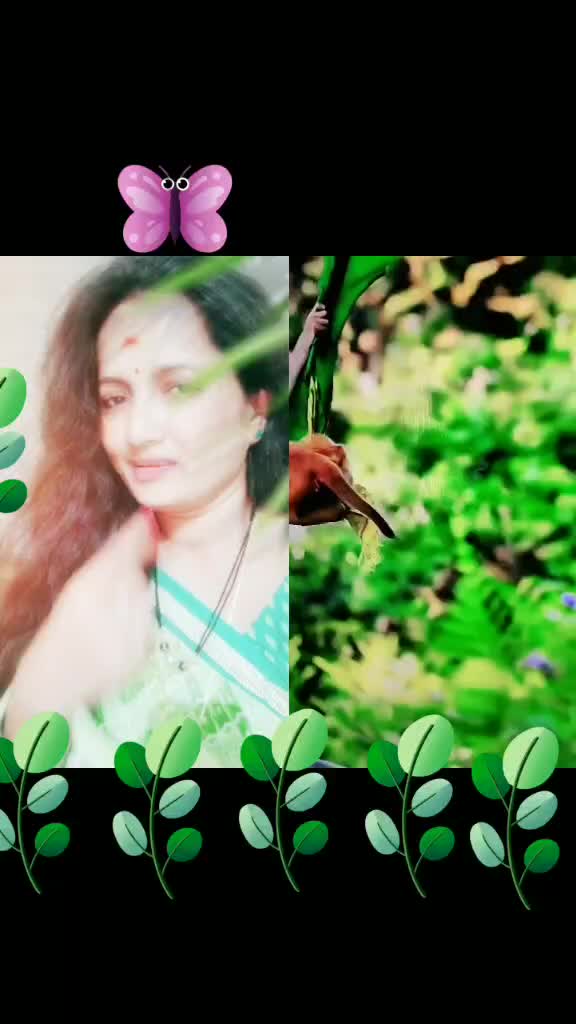 @💞💞💎💎💃💃🌾🌾🌹🌹