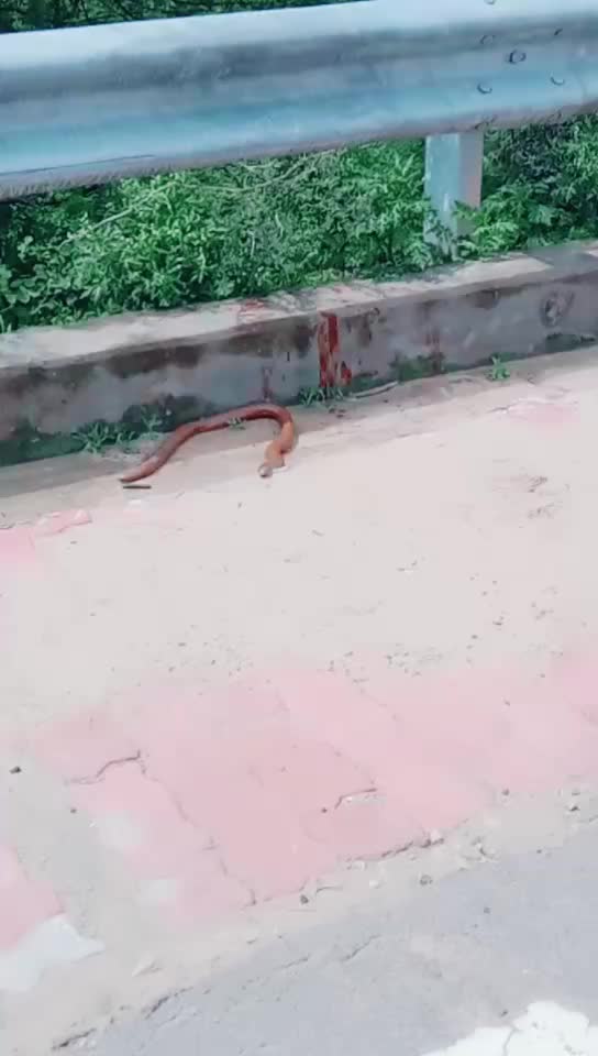 @Mishari lal299019