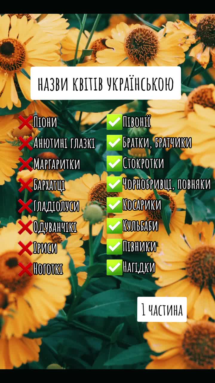 @Iryna Kovalenko