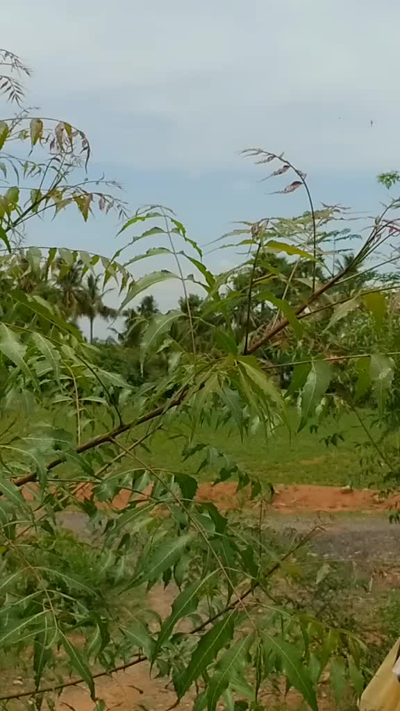 @விவசாயி 💯/💯