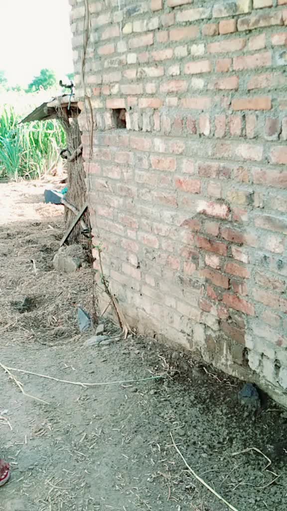 @Dnyaneshwar barse