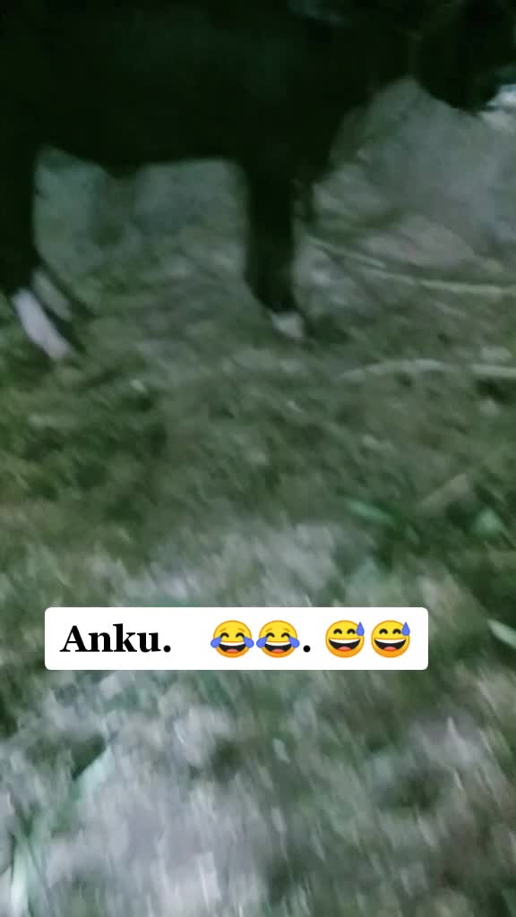 @࿐𝕬𝖒𝖎𝖙࿐