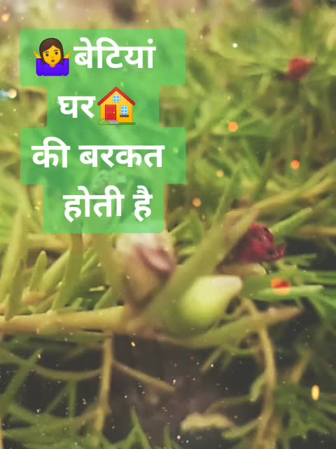 @Anu5484