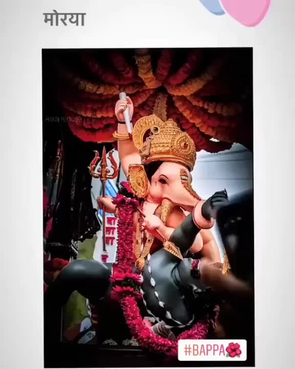 @Rupali Padwal