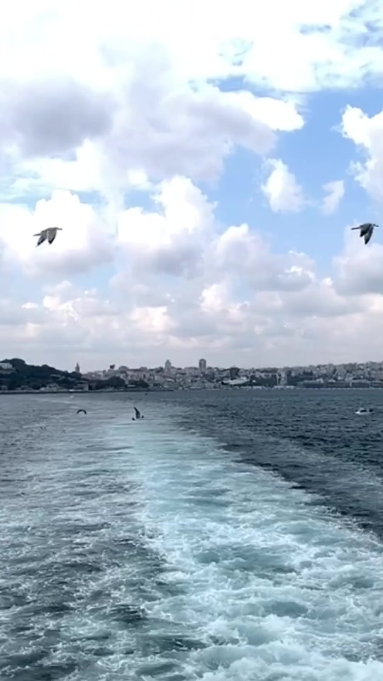 @ᗰᖇ.TᑌᖇKIᔕᕼ