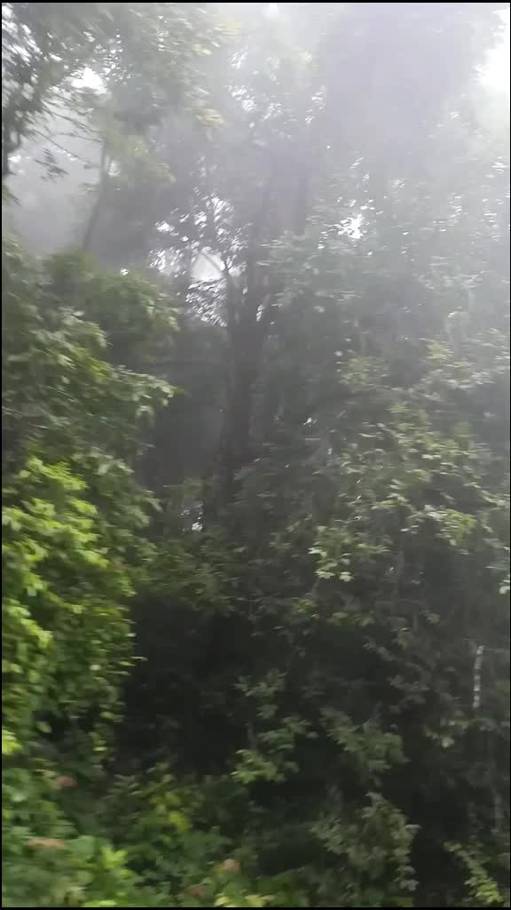 @naveennachhu 009