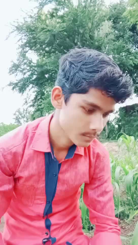 @Kadesh madar 288173
