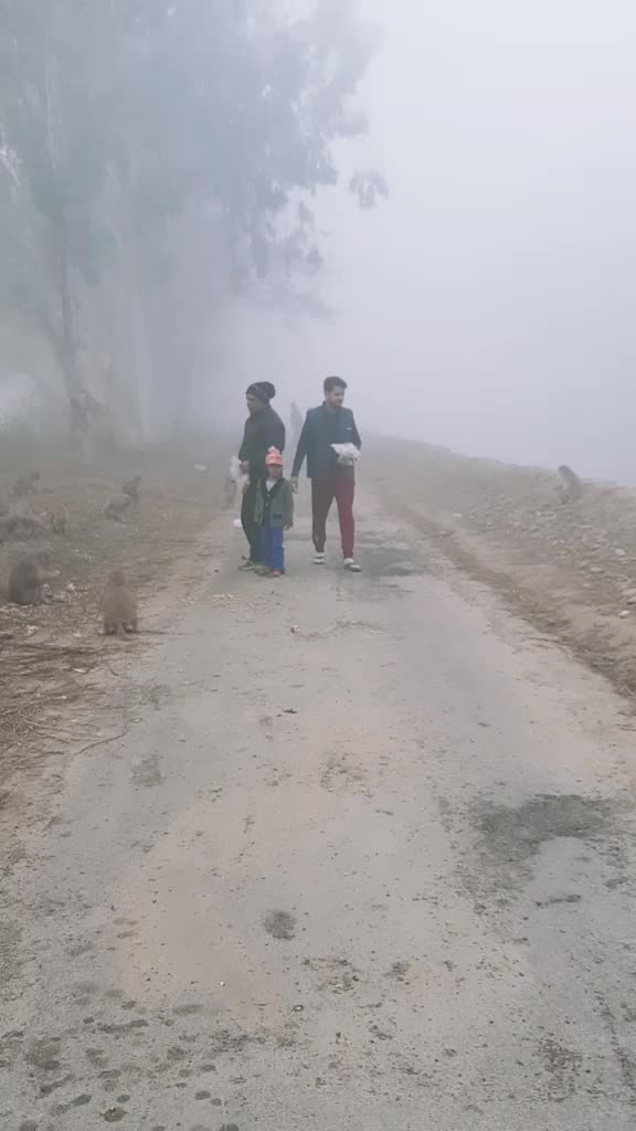 @Anurag Arora