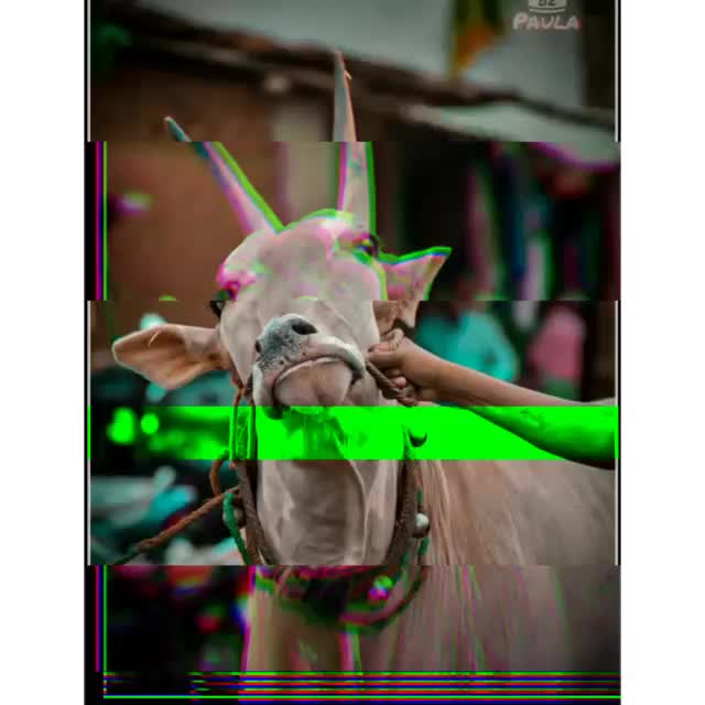 @கிருஷ்ணகிரிகாரன்டா☠☠