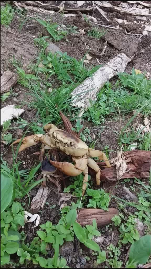 @कट्टर आदिवासी🏹🏹🏹