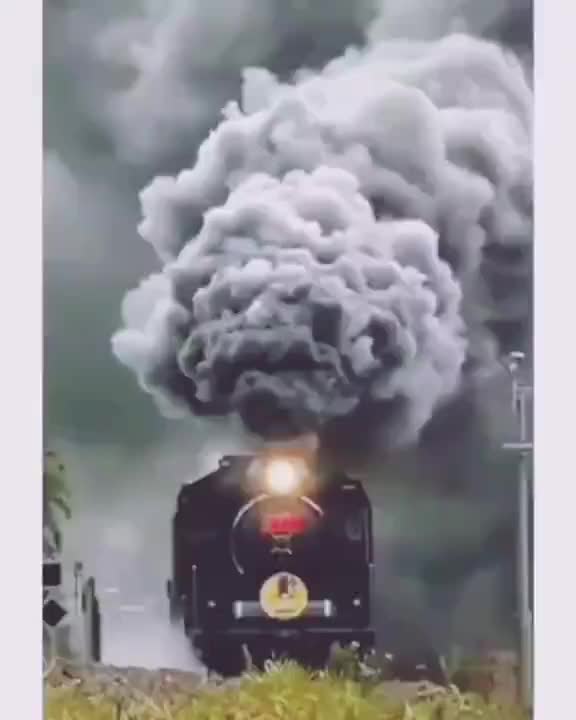 @🙏tikTok king🙏