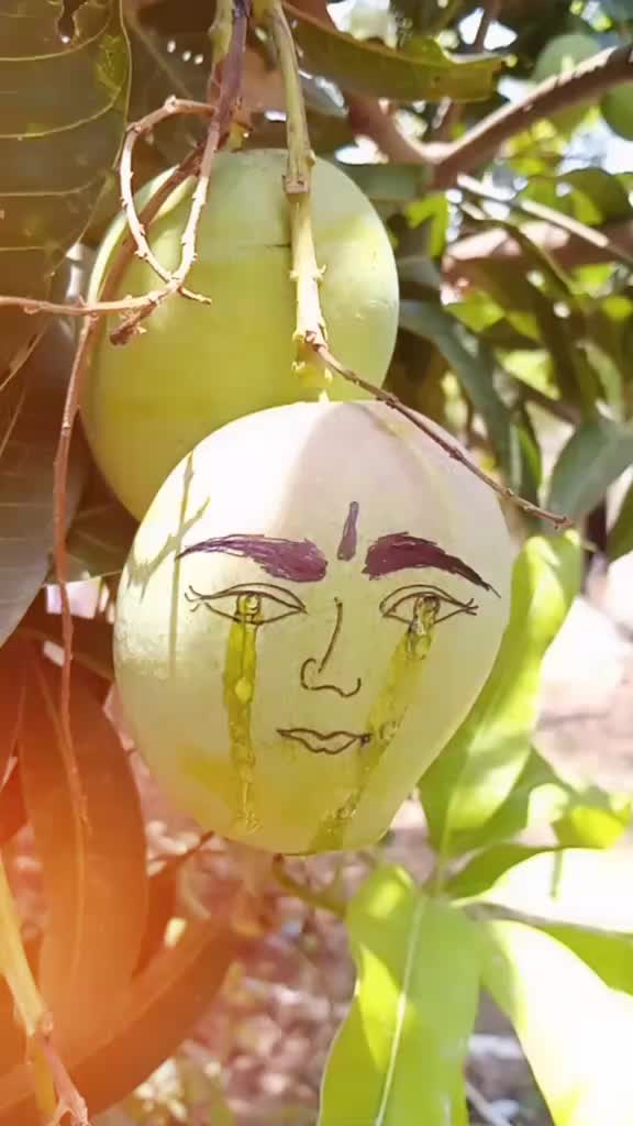 @Surya Da