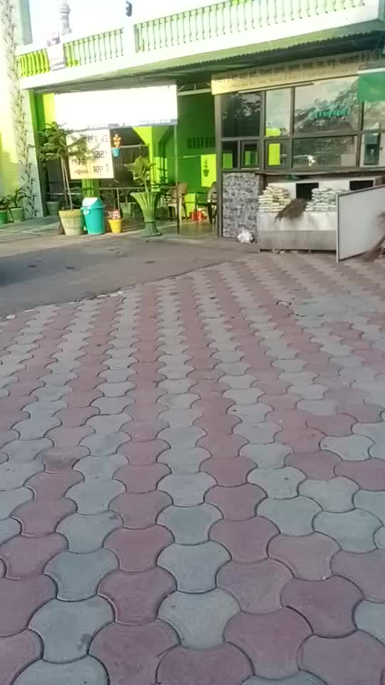 @Mehak dhaliwal