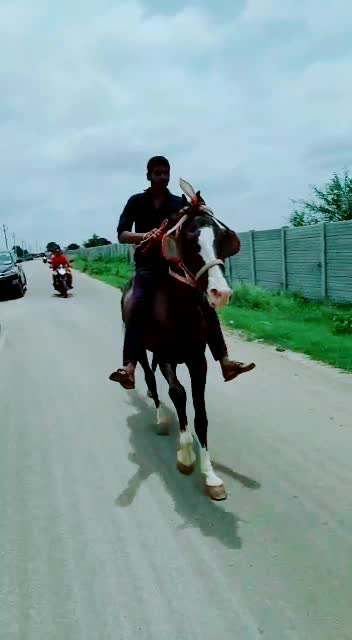 @Maqdum Shaik