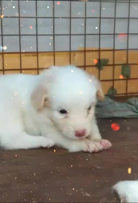 @💫__Nandhana S__💫