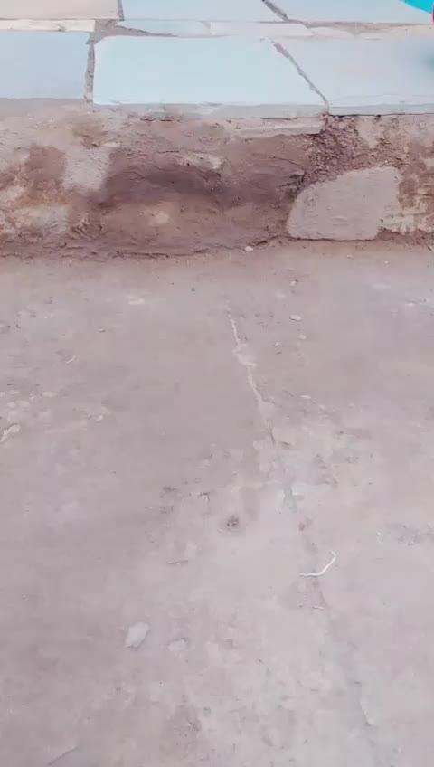 @kamalakar Singe