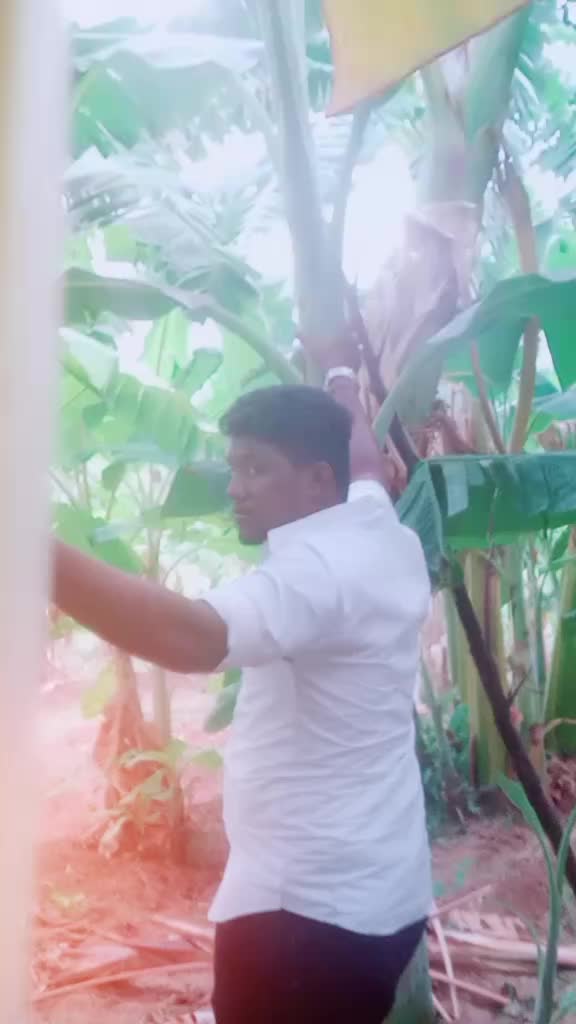@தென்சீமை காரன்டா🇧🇾