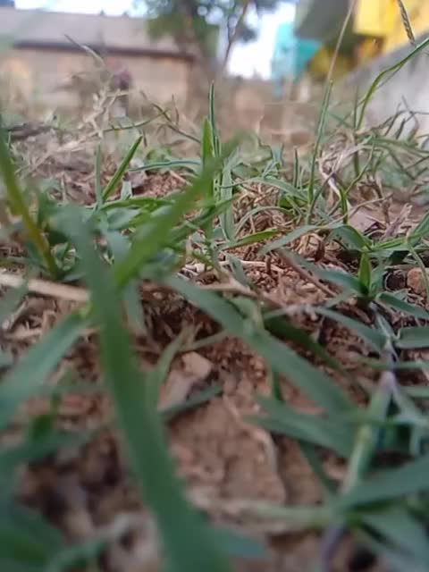 @Nakkina Naveen