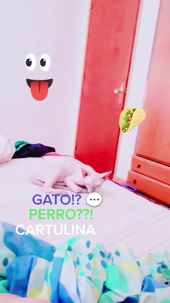 @hugoo