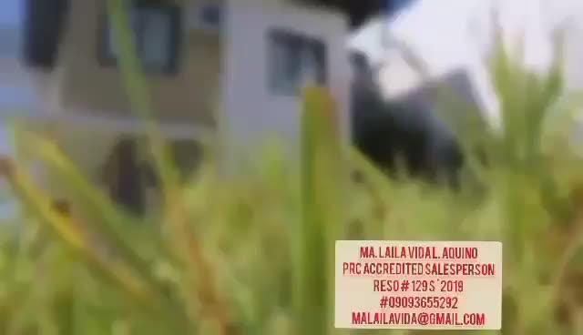 @VIDABEST