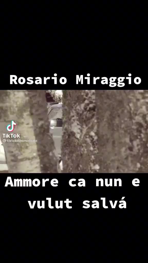 @Amalia de filippo
