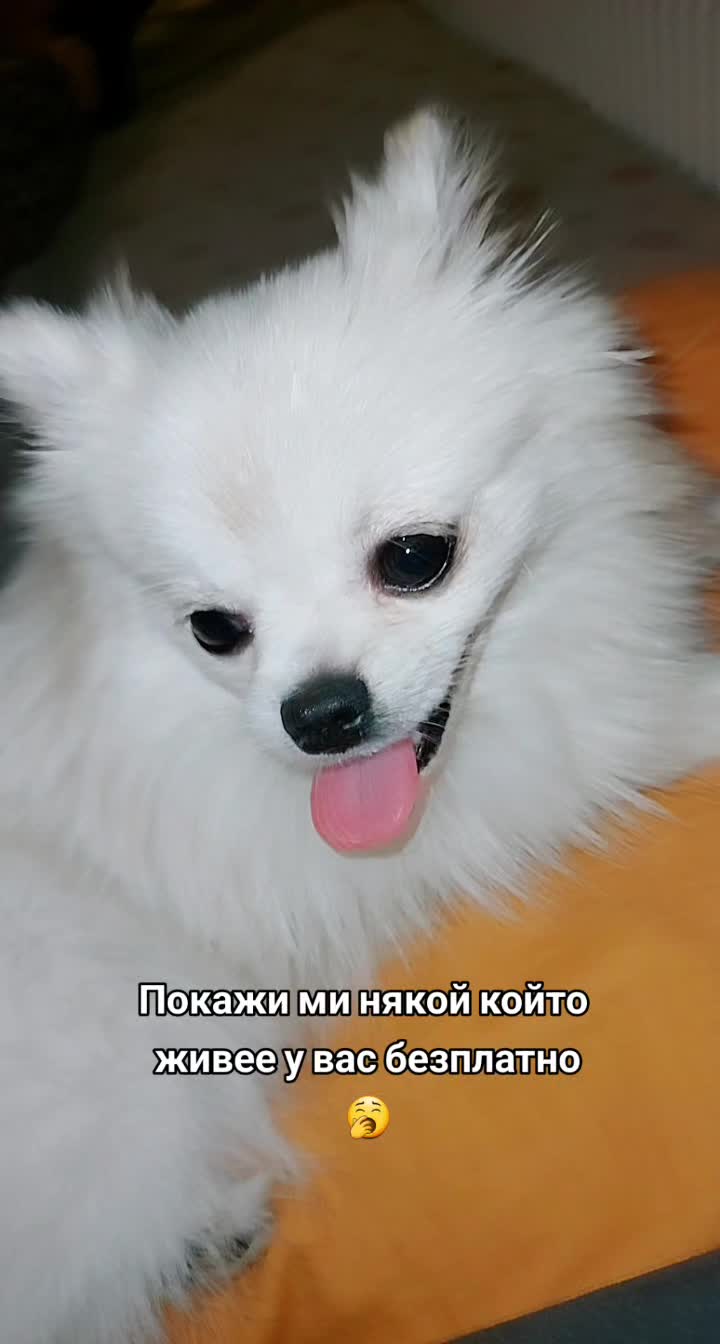 @M I L E N A