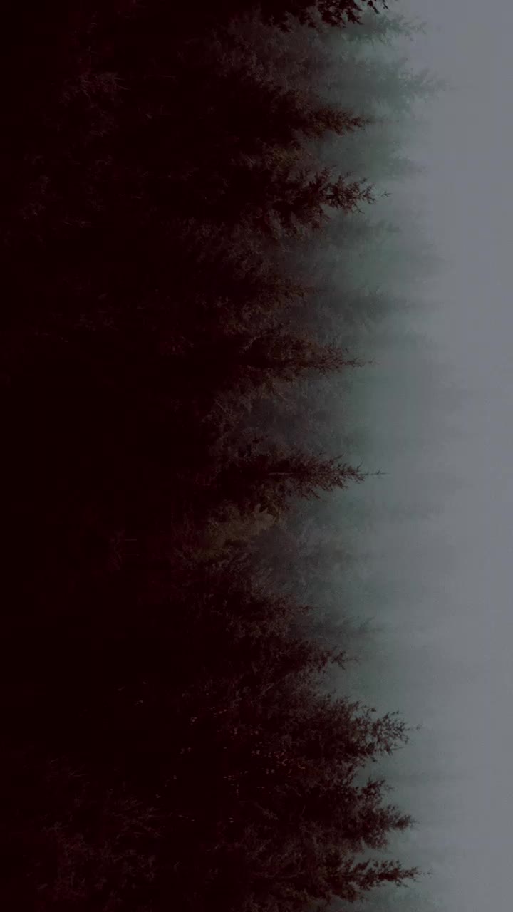 @ਹਿਮਾਂਸ਼ੂ🖤