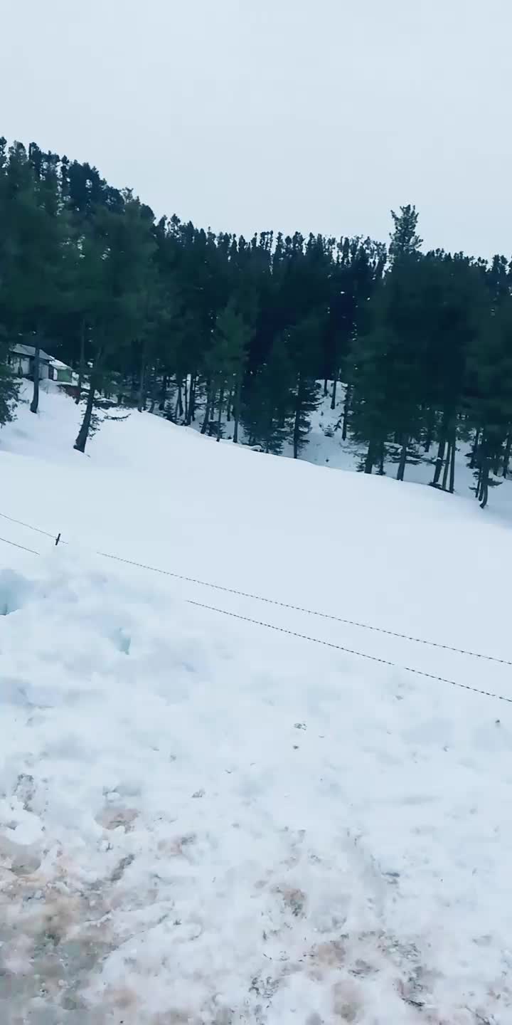 @akiff_khan
